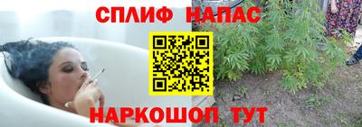 ГАЛЛЮЦИНОГЕННЫЕ ГРИБЫ Нальчик