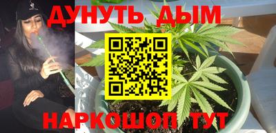сатива Нарткала