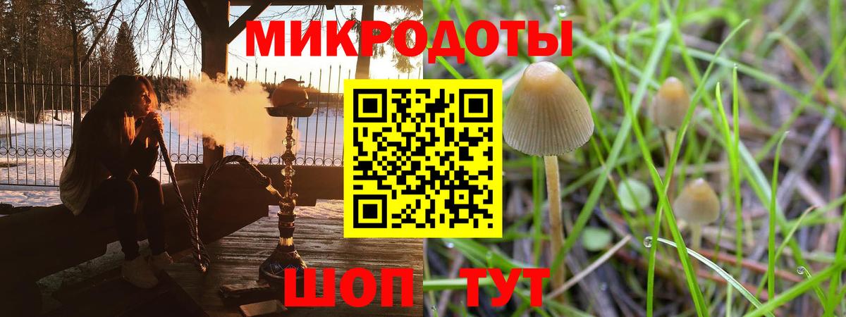 Чехов  Галлюциногенные грибы MAGIC MUSHROOMS  Псилоцибиновые грибы GOLDEN TEACHER  Вход с VPN 