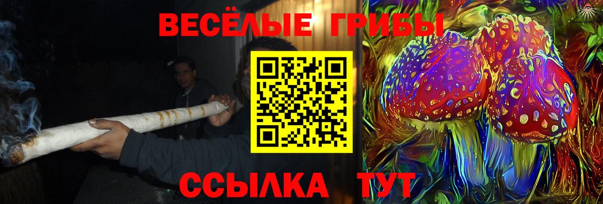 Галлюциногенные грибы мухоморы Чехов